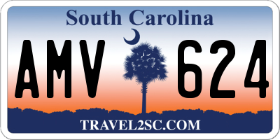 SC license plate AMV624
