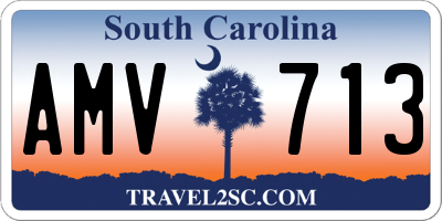 SC license plate AMV713