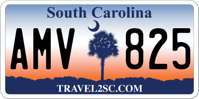 SC license plate AMV825