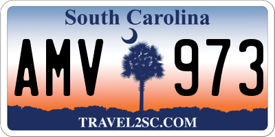 SC license plate AMV973