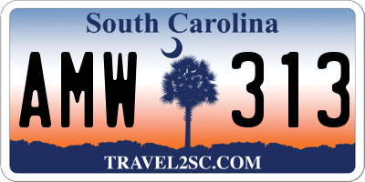 SC license plate AMW313