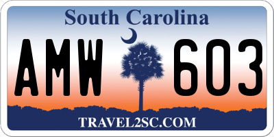 SC license plate AMW603