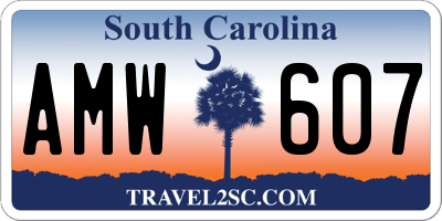 SC license plate AMW607
