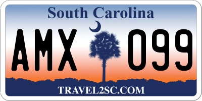 SC license plate AMX099