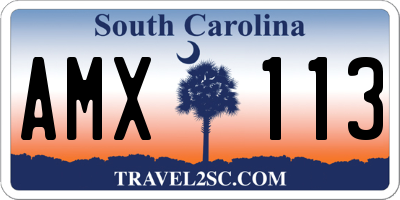 SC license plate AMX113