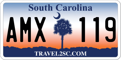 SC license plate AMX119