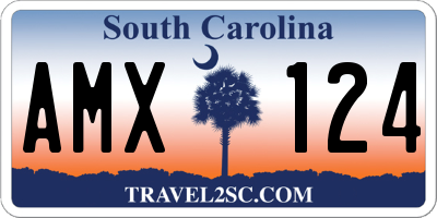 SC license plate AMX124