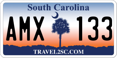 SC license plate AMX133