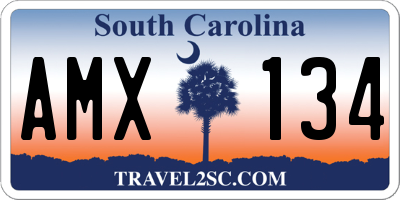 SC license plate AMX134