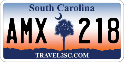 SC license plate AMX218