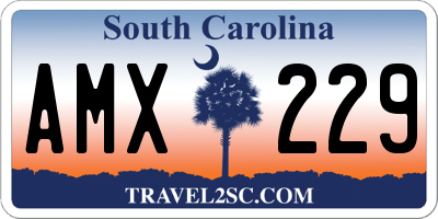 SC license plate AMX229