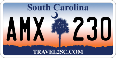 SC license plate AMX230