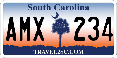 SC license plate AMX234