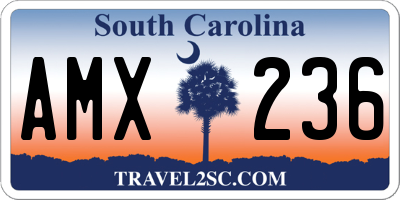 SC license plate AMX236