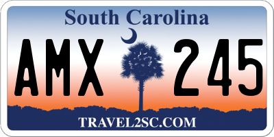SC license plate AMX245