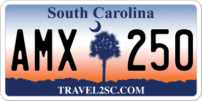 SC license plate AMX250