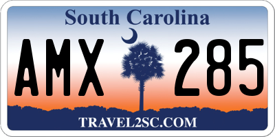 SC license plate AMX285