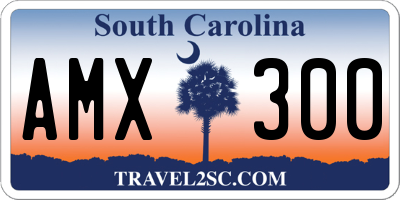 SC license plate AMX300