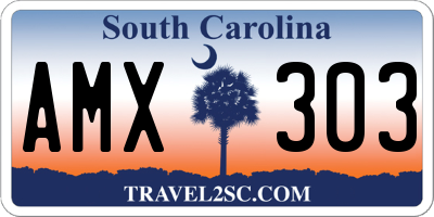 SC license plate AMX303