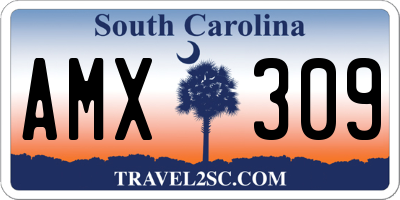 SC license plate AMX309