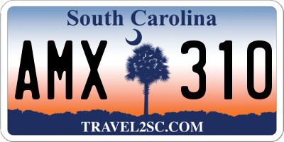 SC license plate AMX310