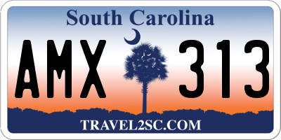 SC license plate AMX313