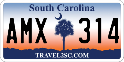 SC license plate AMX314