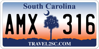 SC license plate AMX316