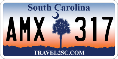 SC license plate AMX317