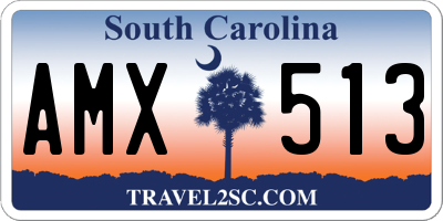 SC license plate AMX513