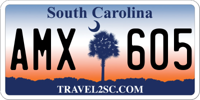 SC license plate AMX605