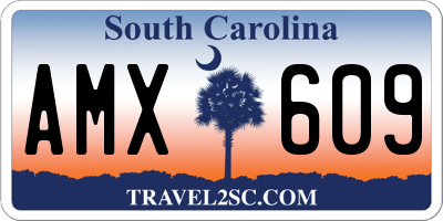 SC license plate AMX609