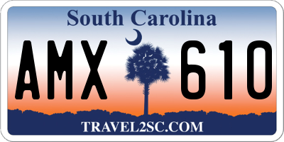 SC license plate AMX610