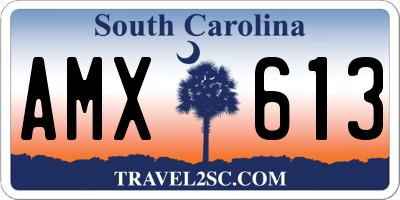 SC license plate AMX613