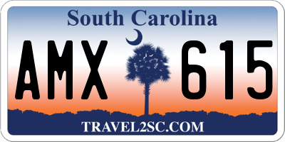 SC license plate AMX615