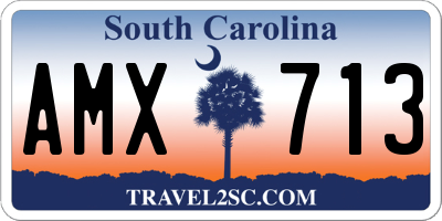 SC license plate AMX713