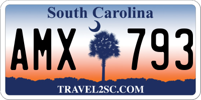 SC license plate AMX793