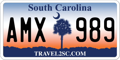 SC license plate AMX989