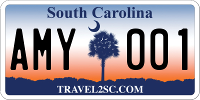 SC license plate AMY001