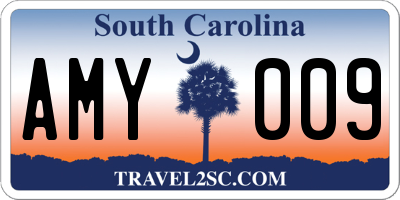 SC license plate AMY009
