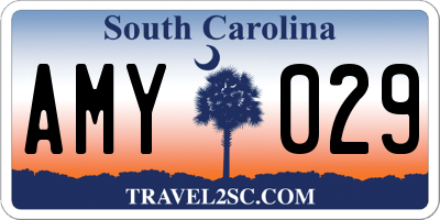 SC license plate AMY029