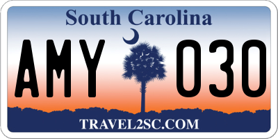 SC license plate AMY030