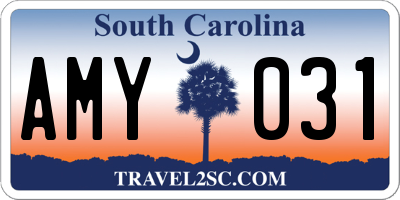 SC license plate AMY031