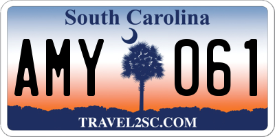 SC license plate AMY061