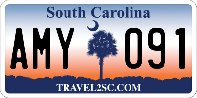 SC license plate AMY091