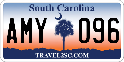 SC license plate AMY096