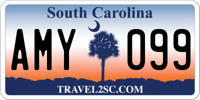 SC license plate AMY099