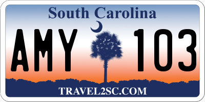 SC license plate AMY103