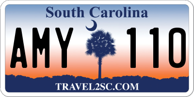 SC license plate AMY110
