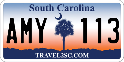SC license plate AMY113